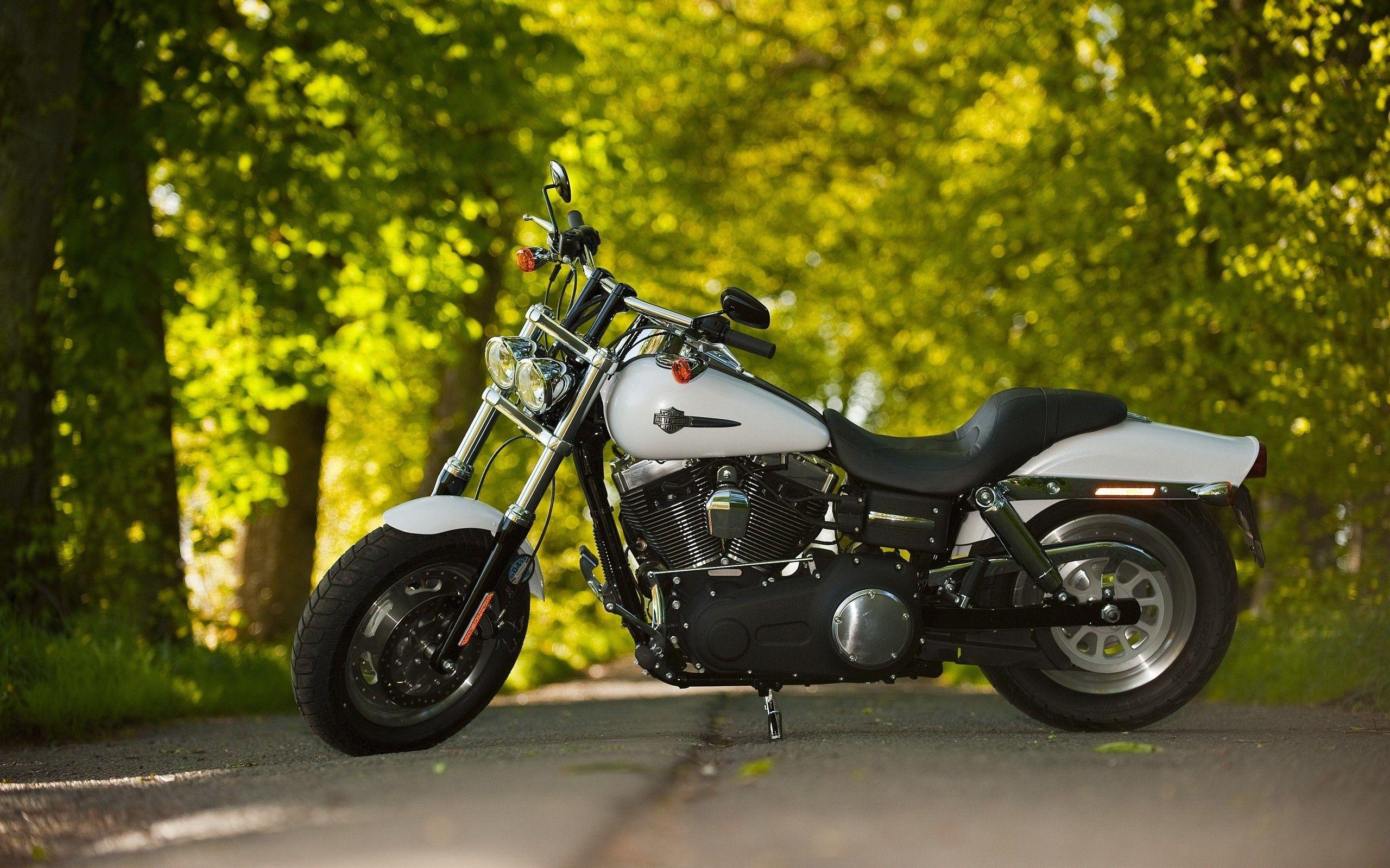 Black and White Harley Davidson Bike on Road HD Wallpaper. HD