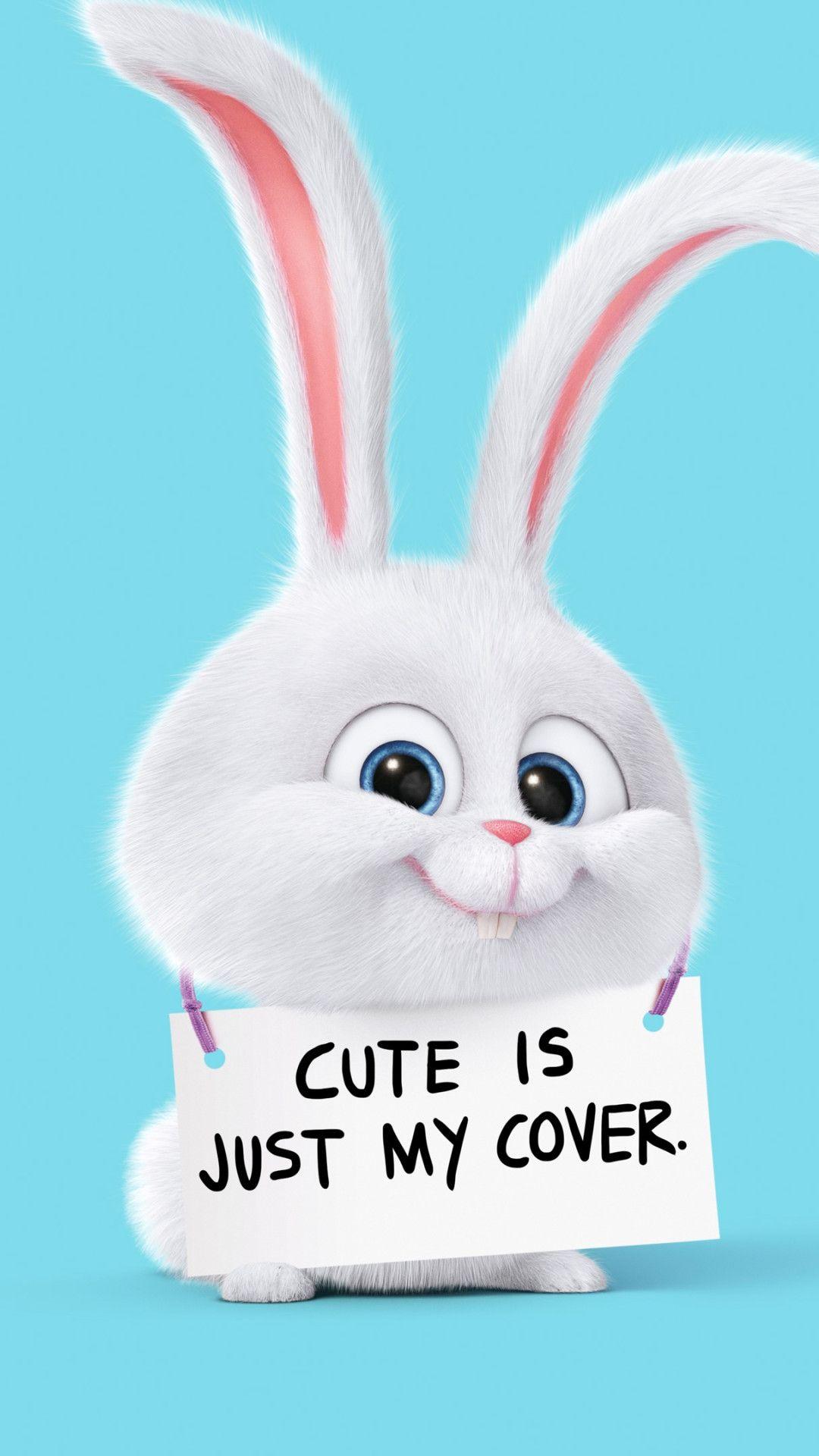 Cute Is Just My Cover Rabbit Android Wallpaper free download