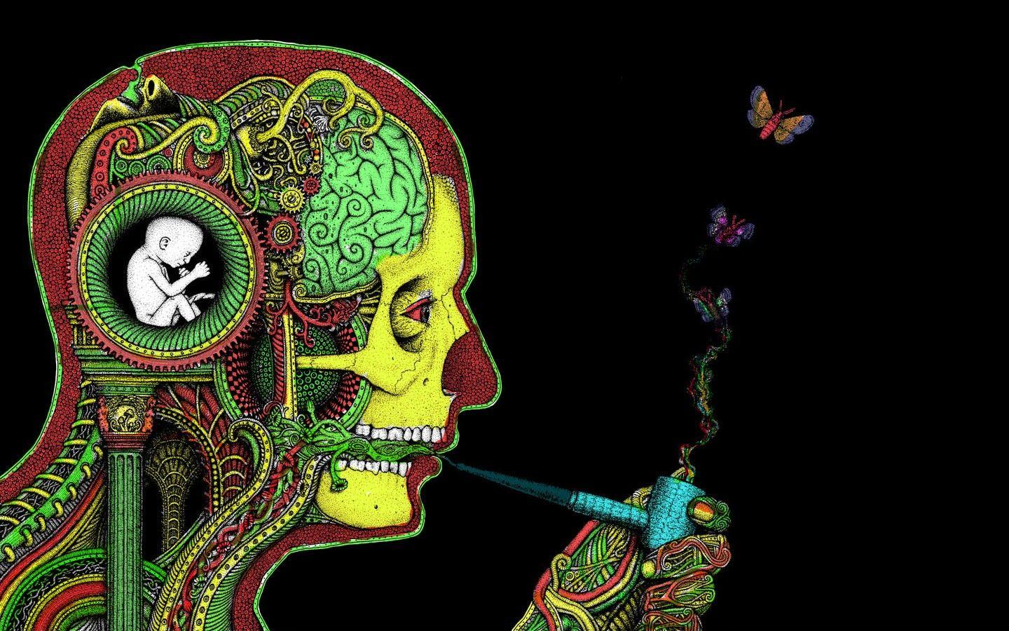 Wallpaper, illustration, smoking, drugs, biology, 1440x900 px