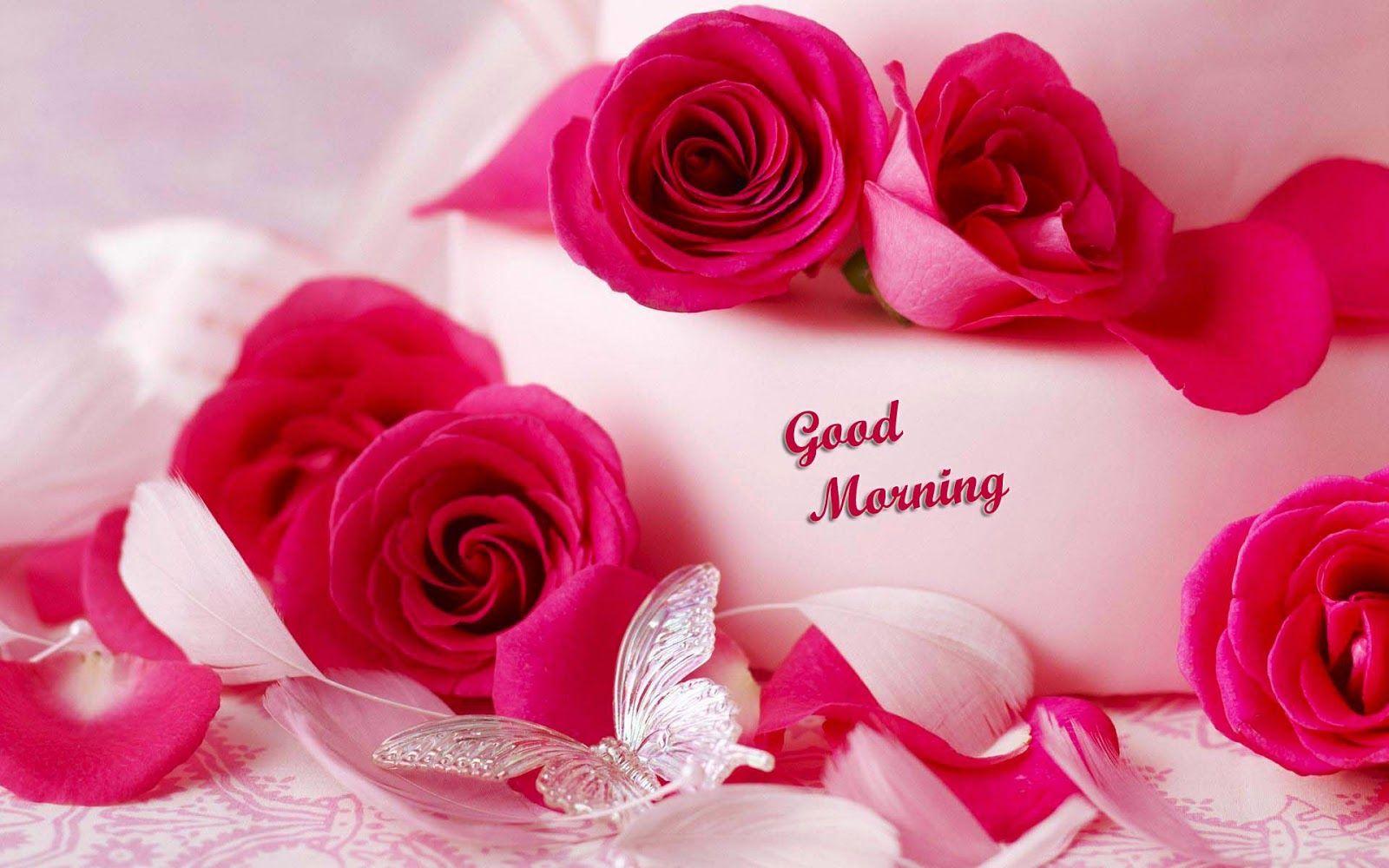 Romantic Roses Good Morning Hd Wallpapers