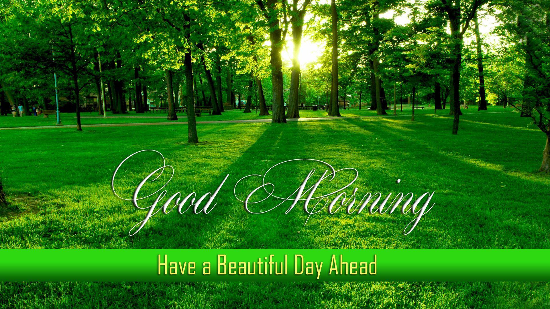 Best And Beautiful Wallpapers Good Morning Hd Image