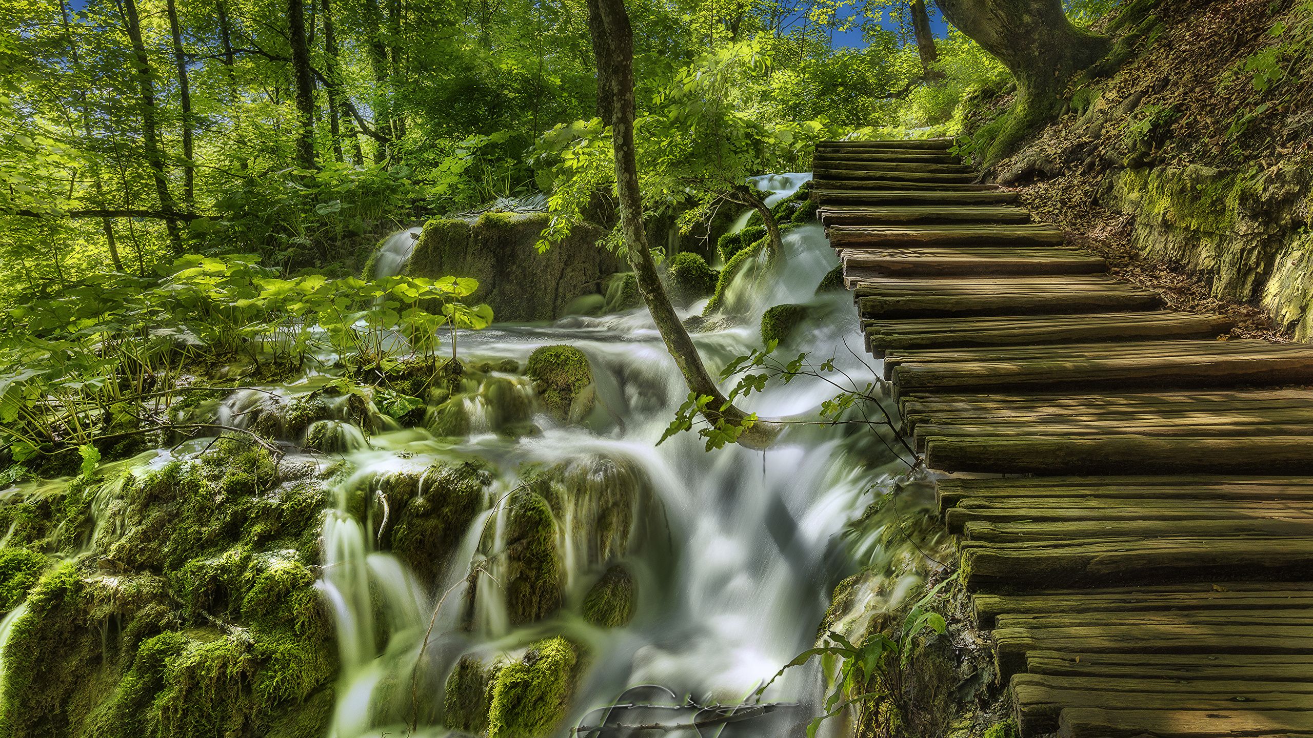 Photo Croatia Plitvice Lakes National Park Nature Bridges 2560x1440