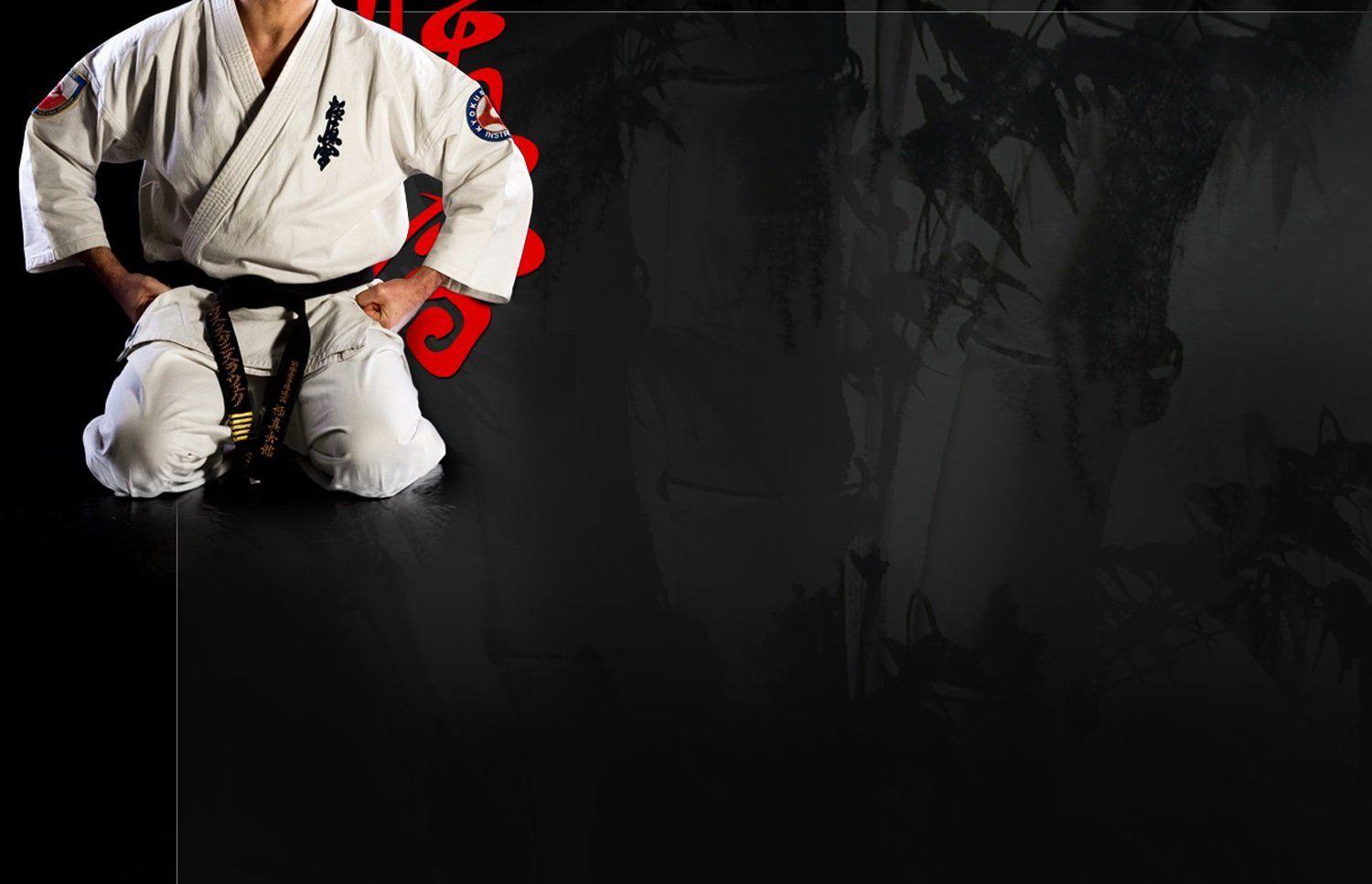 Kyokoshin karate wallpaperx966