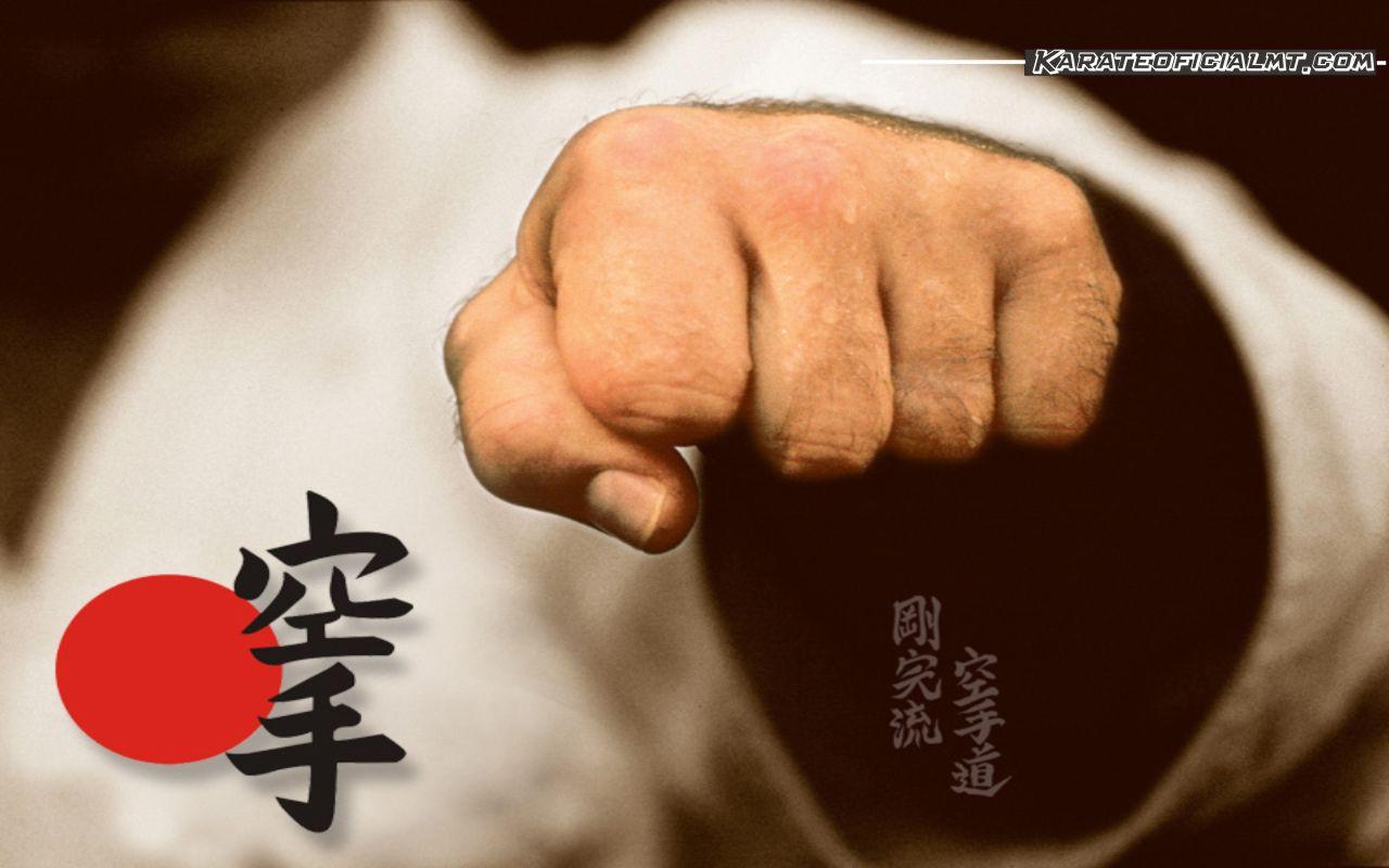 Shotokan Karate Wallpaper, LJP71 HDQ Wallpaper For Desktop And Mobile