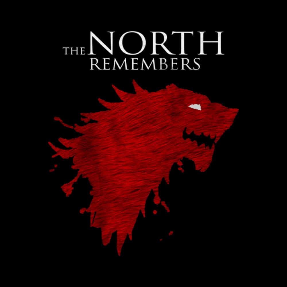 TBT 'The North Remembers' in GOT Season 5
