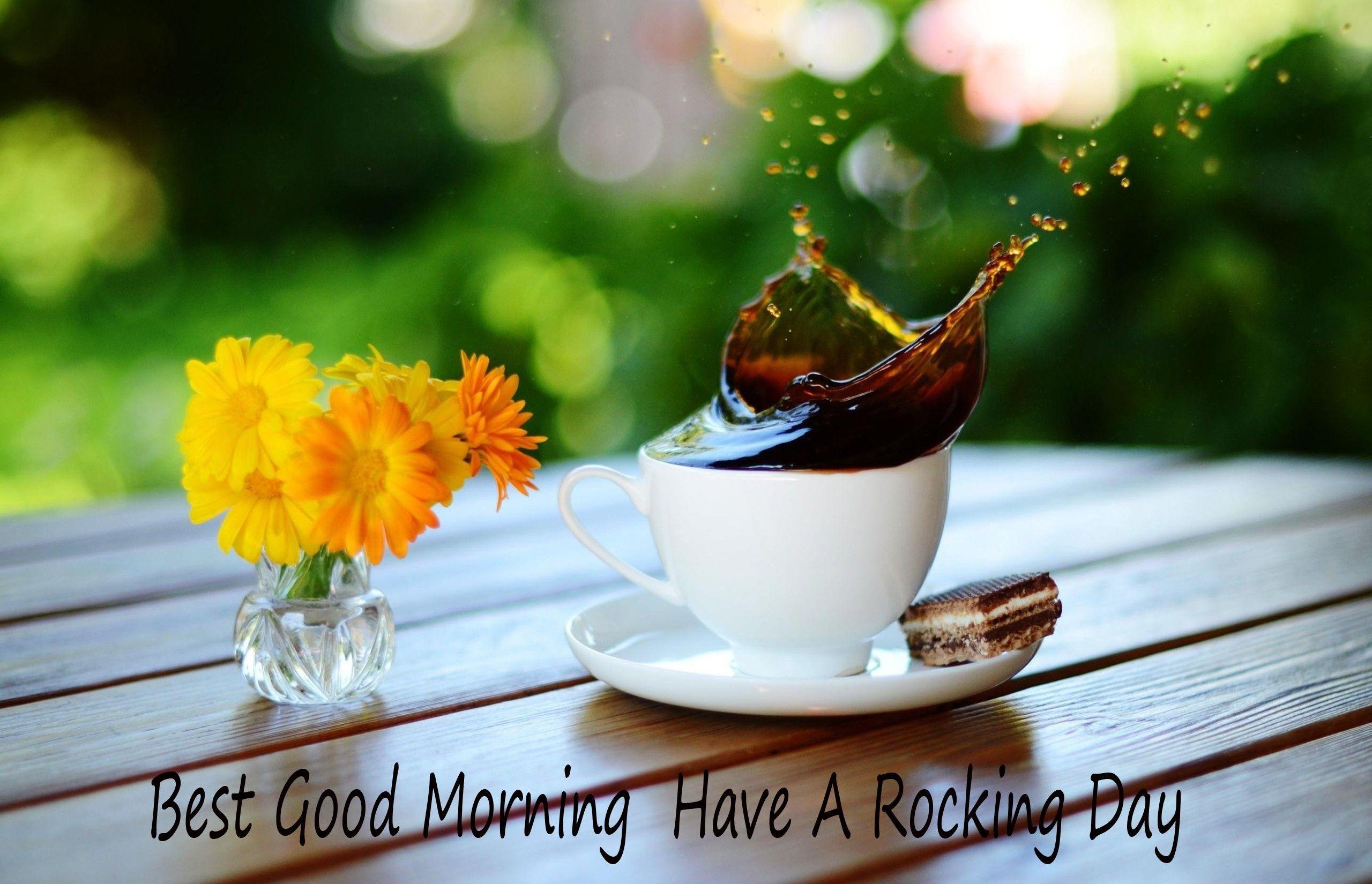 latest good morning wallpaper free download