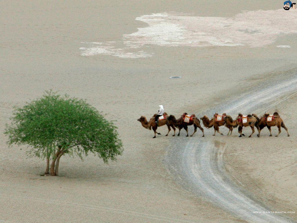SantaBanta HD Wallpaper