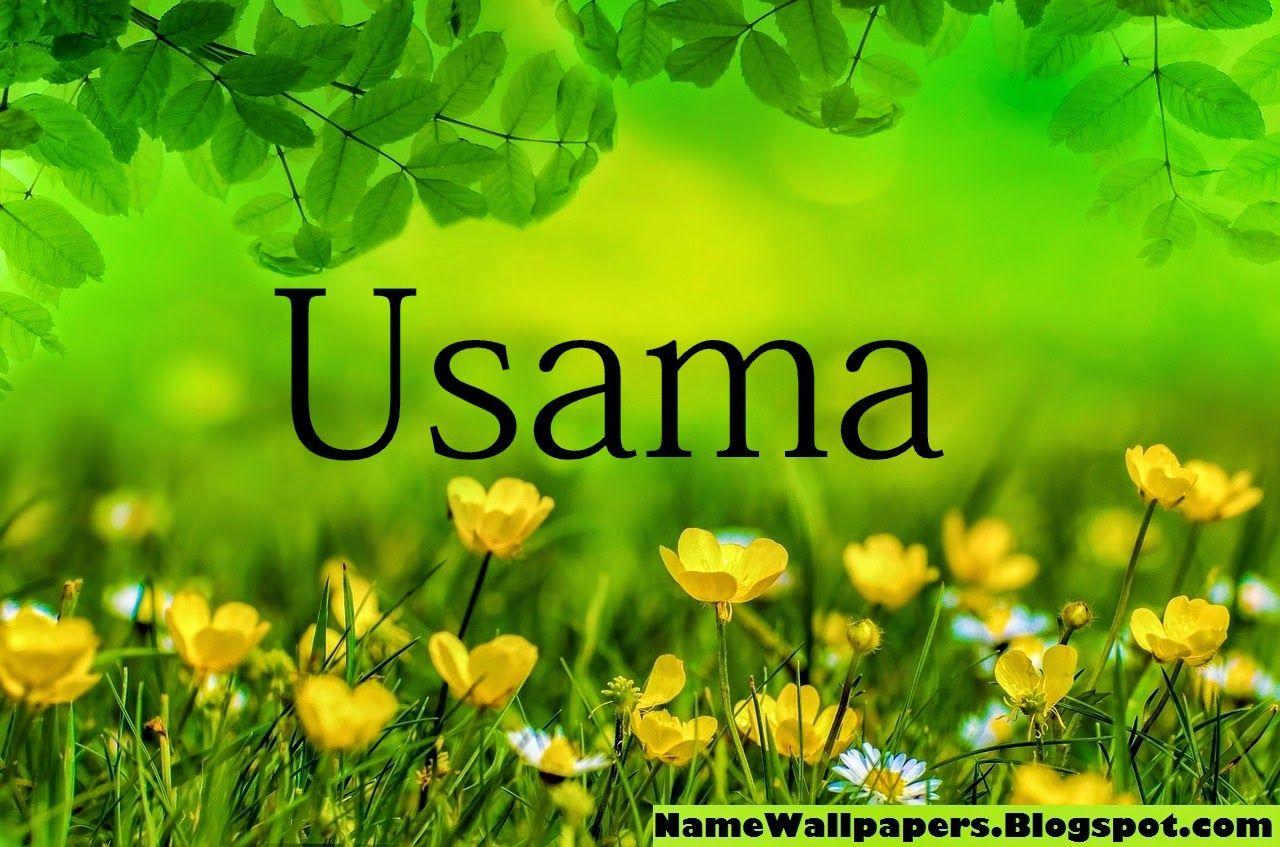 Usama Name Wallpaper Osama Name Wallpaper Urdu Name Meaning