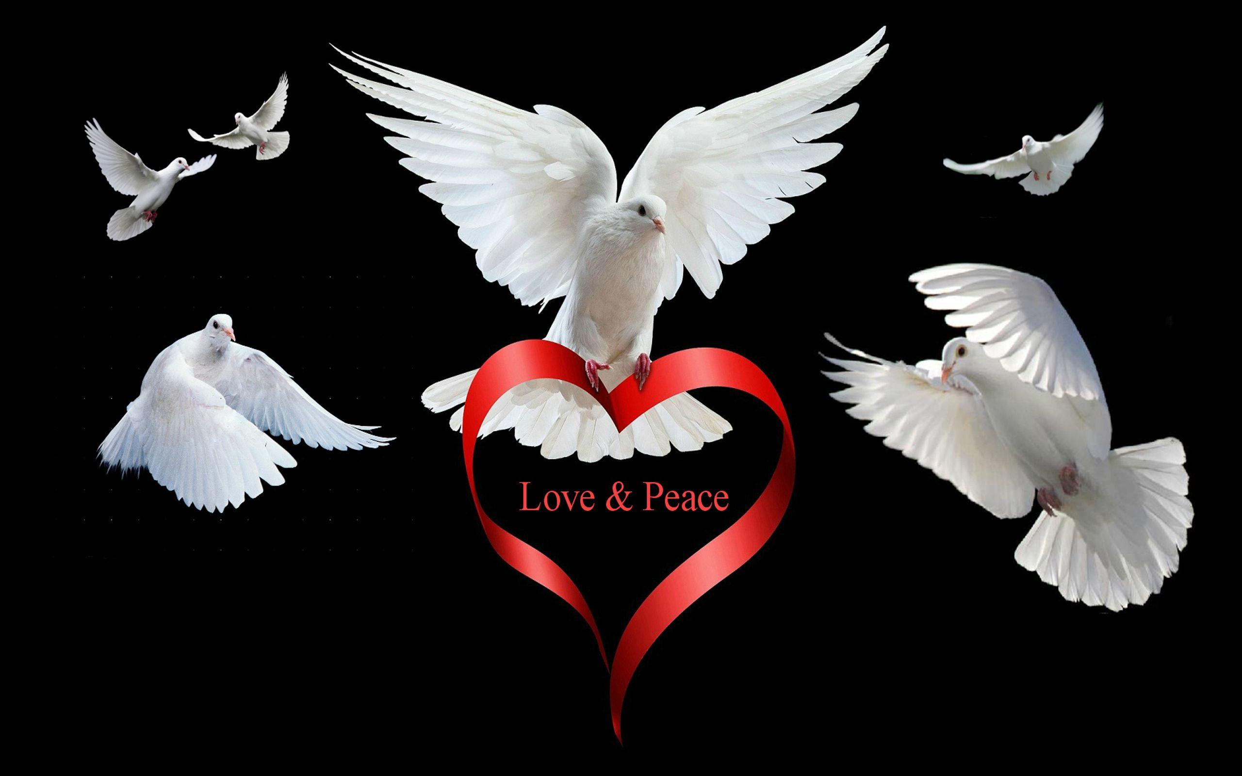 Love Peace HD Desktop Background, Wallpaper13.com