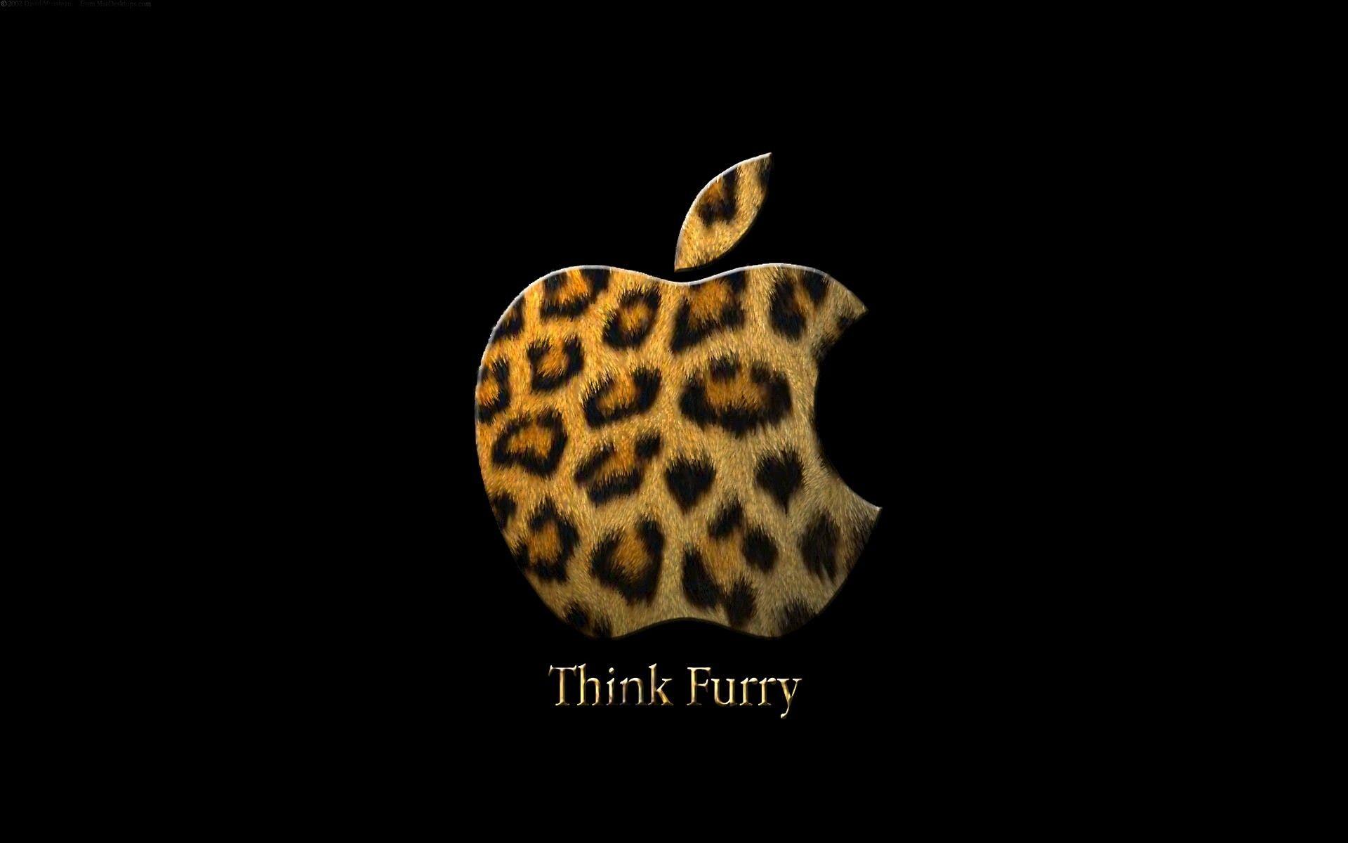 Furry iPhone Wallpaper