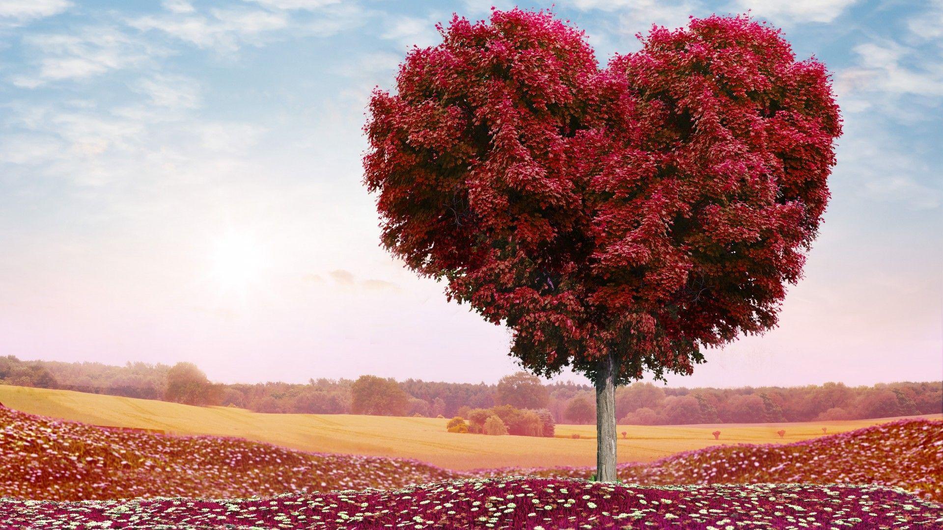 Wallpaper Love heart, Tree, 4K, Love