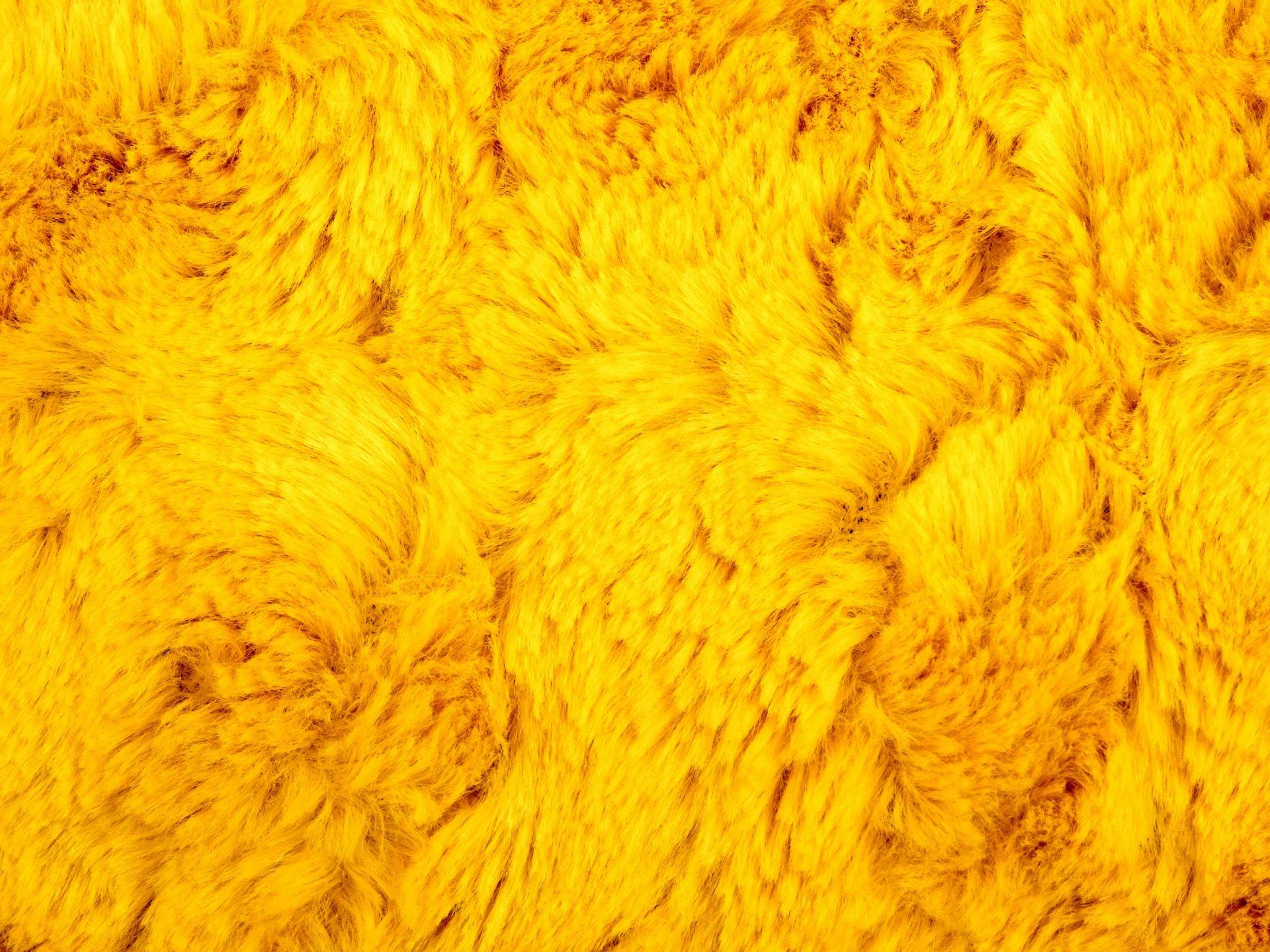 Yellow Background Image. HD Wallpaper. Yellow