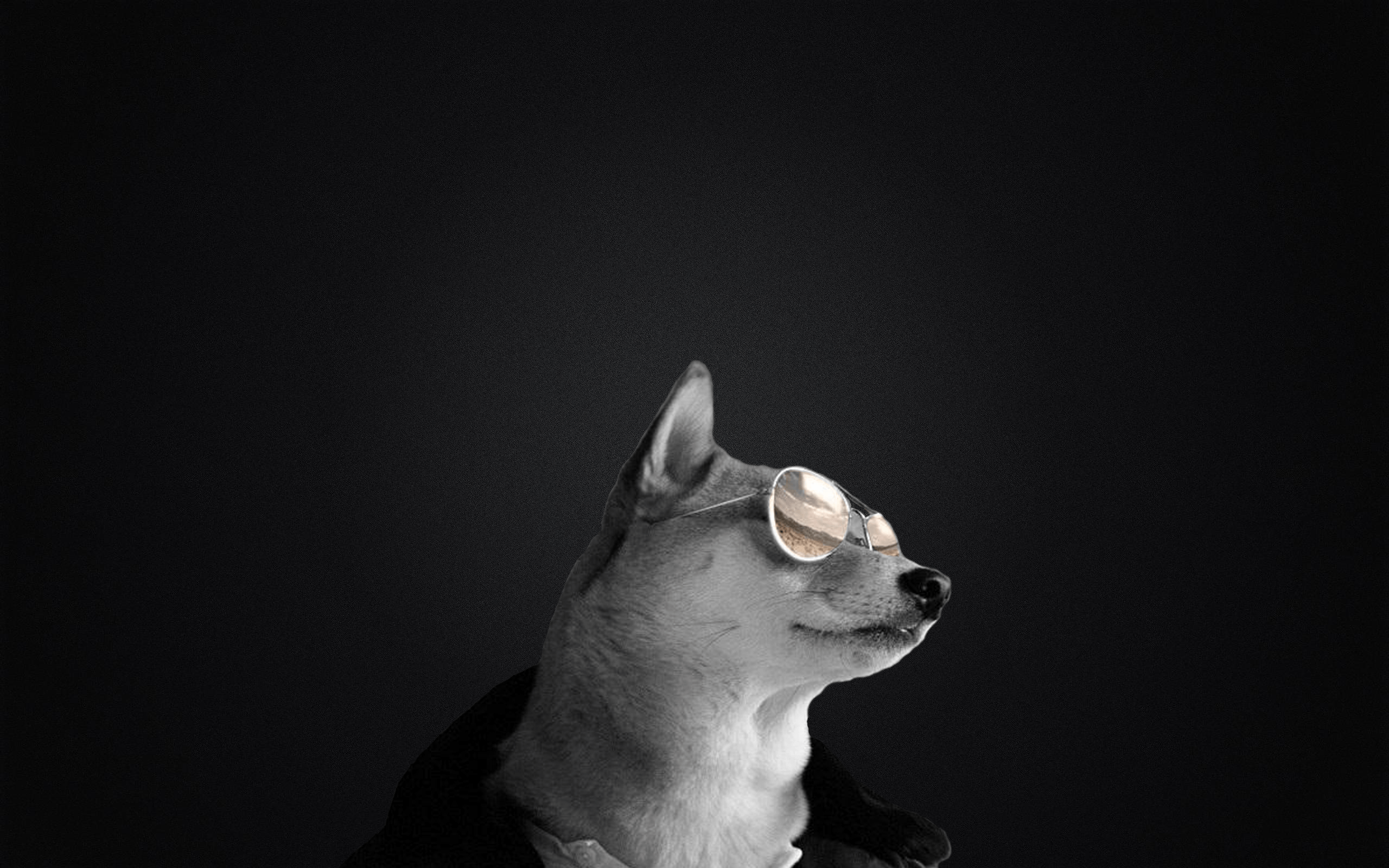 Badass doge with sunglasses wallpaper