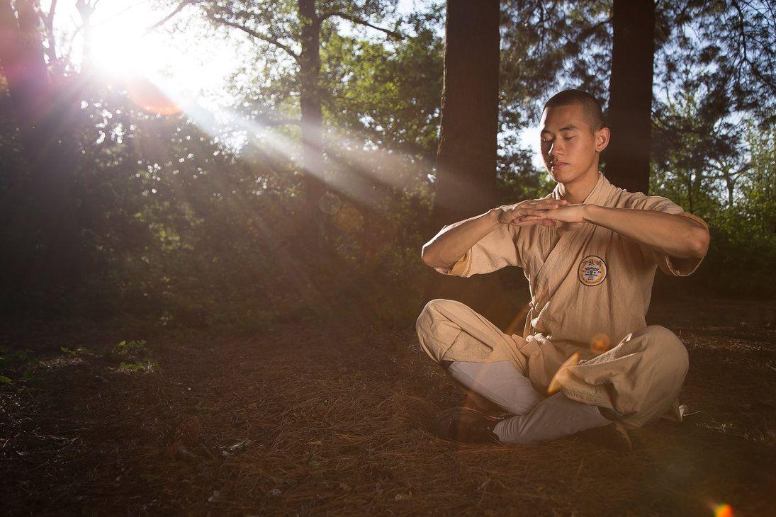 Shaolin Kung Fu Actor Tien Hoang in Bostal Woods