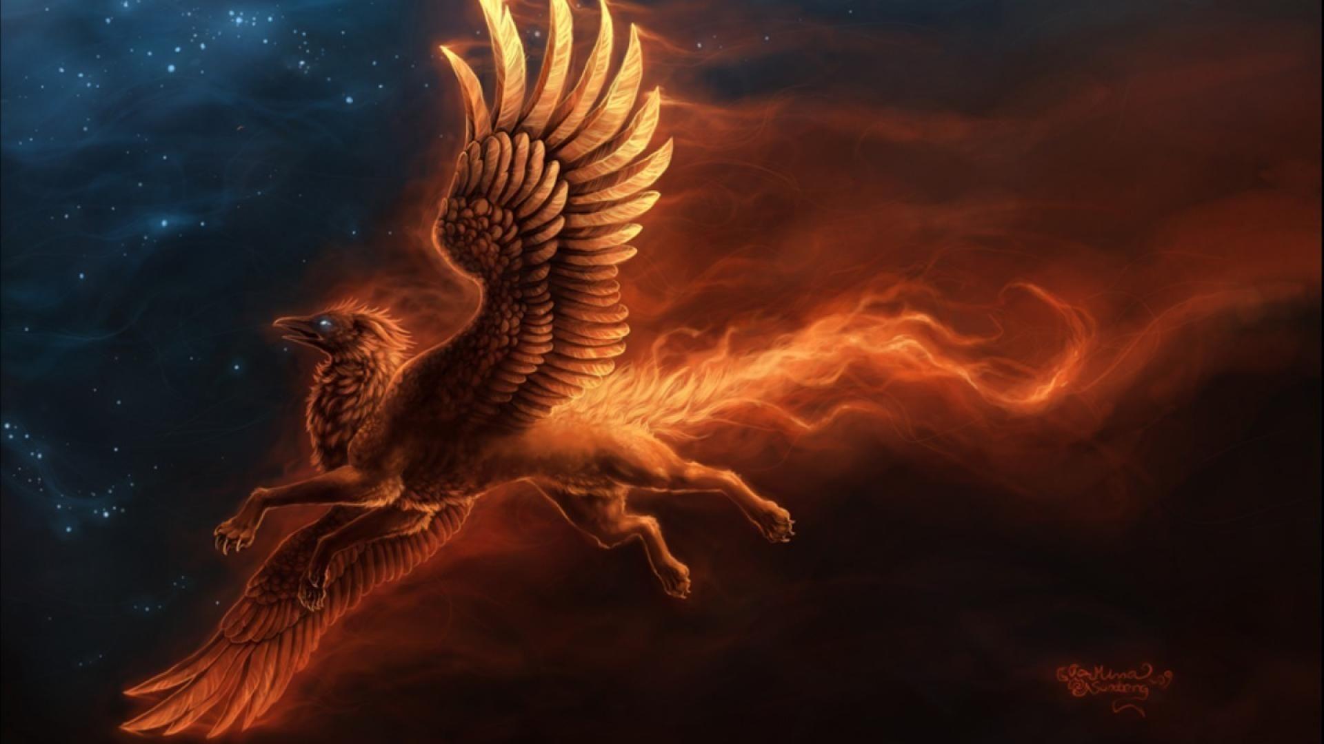 Gryphon Wallpapers Wallpaper Cave