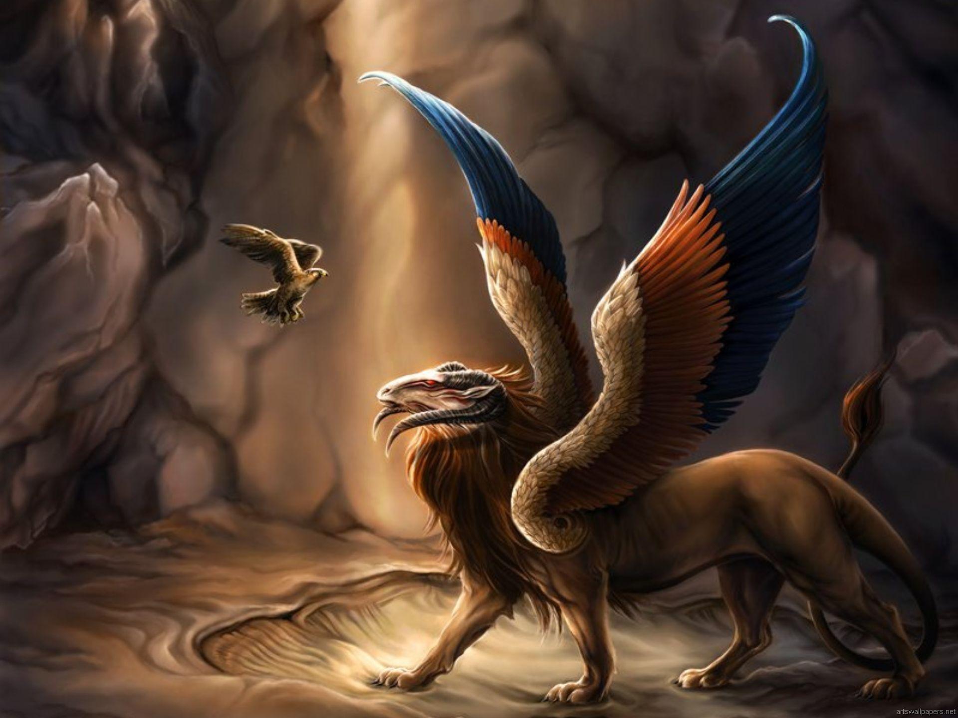 Griffin HD Wallpaper and Background Image