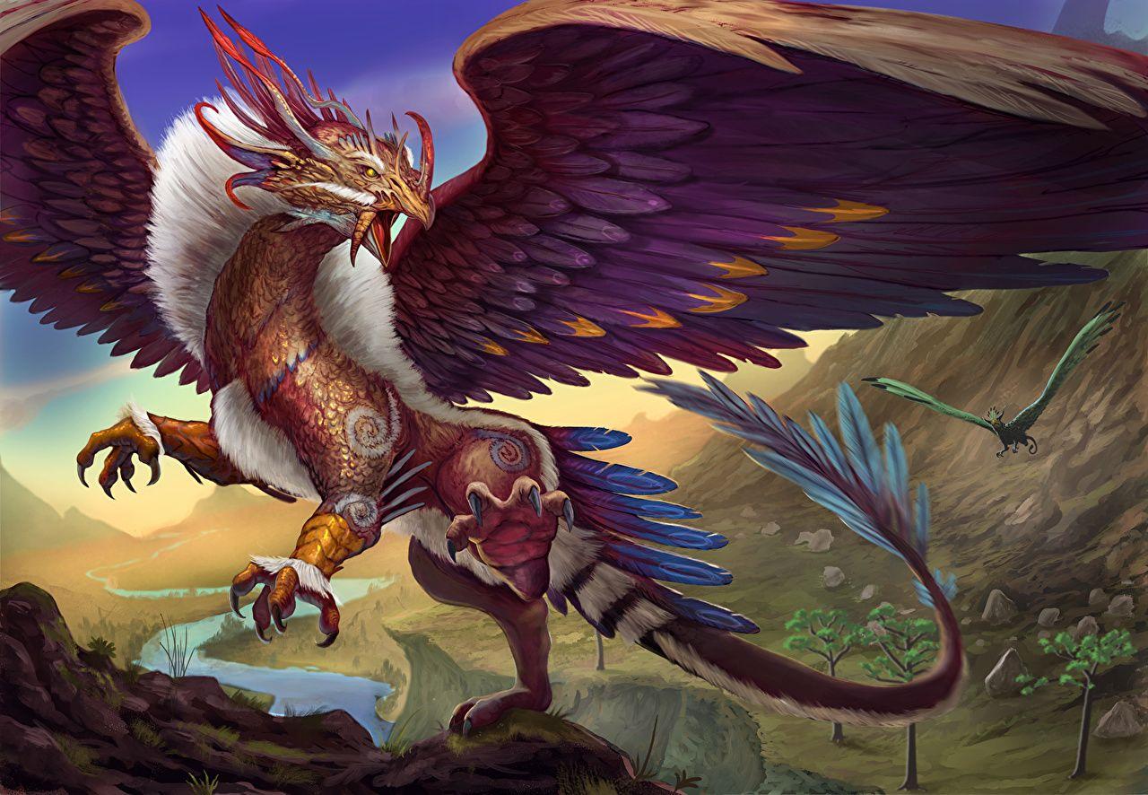 Gryphon wallpaper picture download