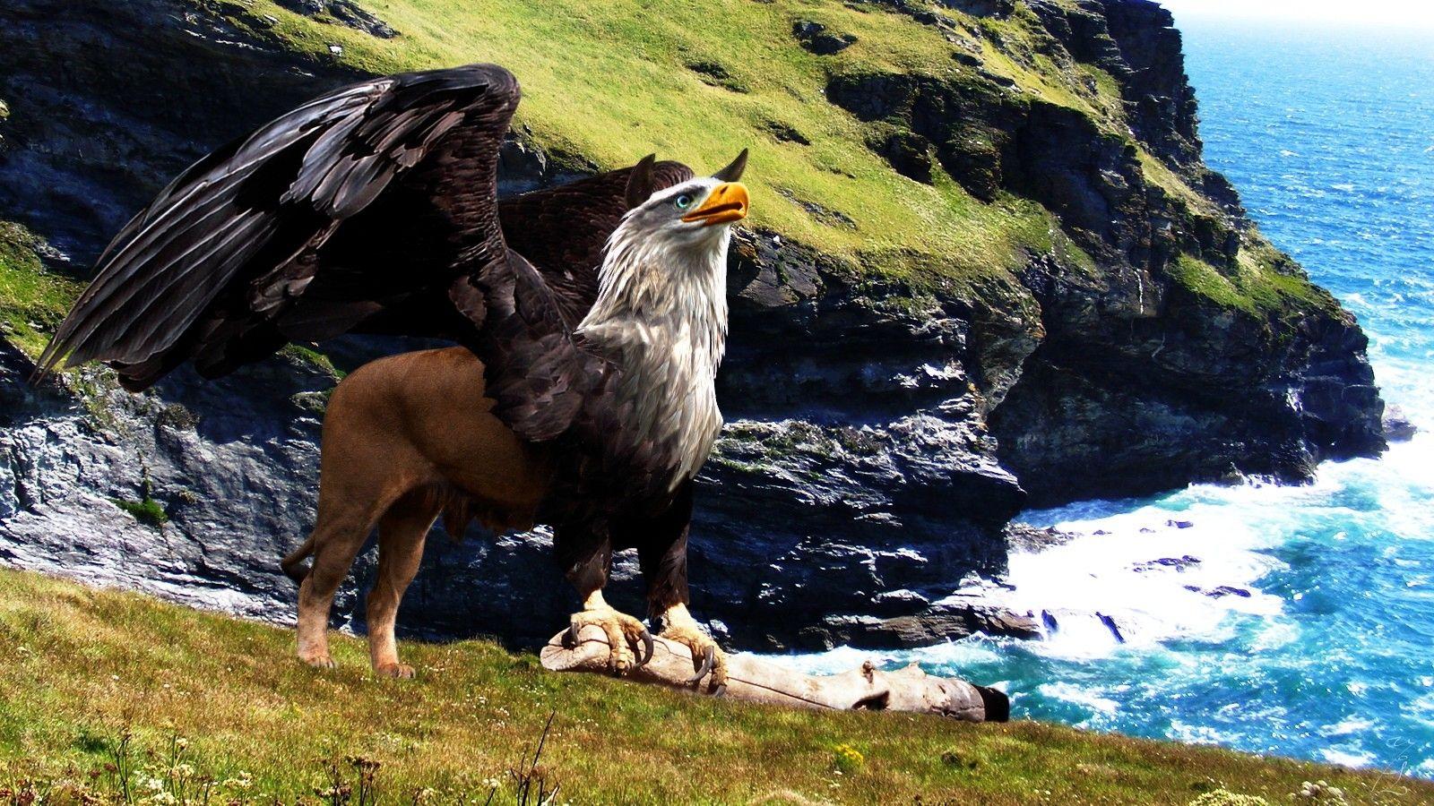 creatures griffin photomanipulations 1600x900 wallpaper High Quality