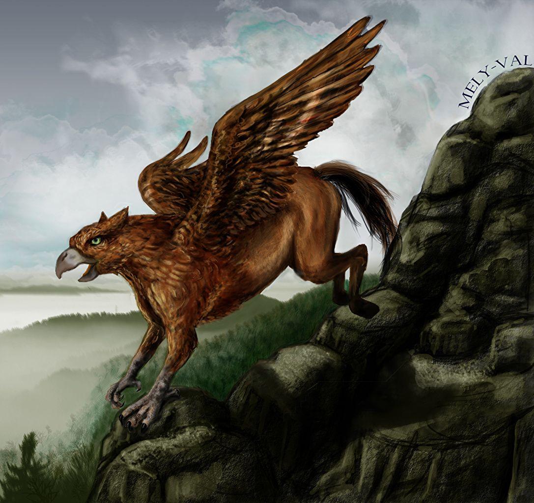 Gryphon Wings Fantasy Magical animals