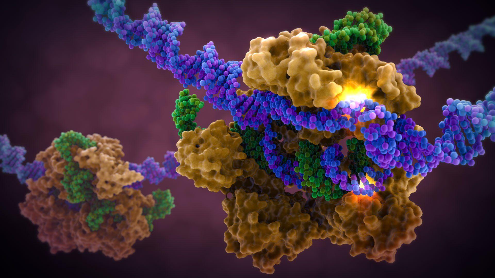 CRISPR Wallpapers Wallpaper Cave