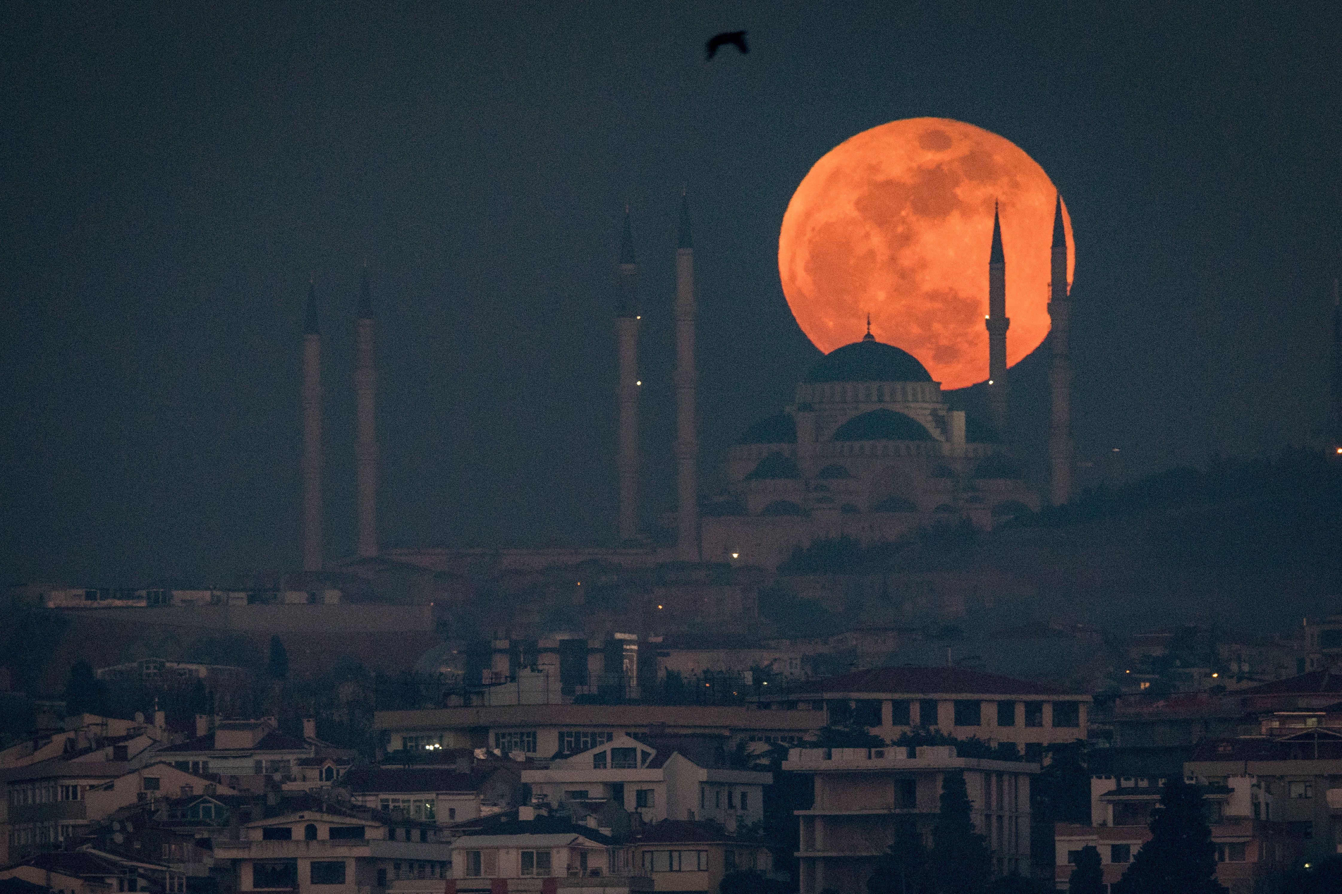 See Photo of the 2018 Super Blue Blood Moon Lunar Eclipse