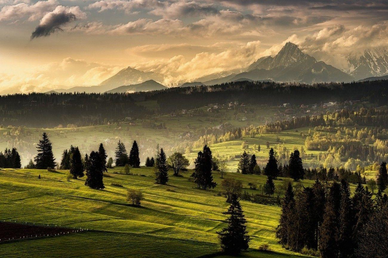 nature, Landscape, Tatra Mountains, Forest, Grass, Mist, Clouds