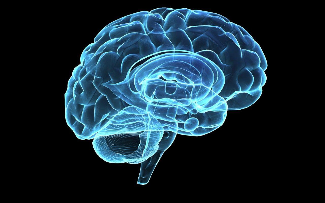 Brain Hologram Desktop Wallpaper