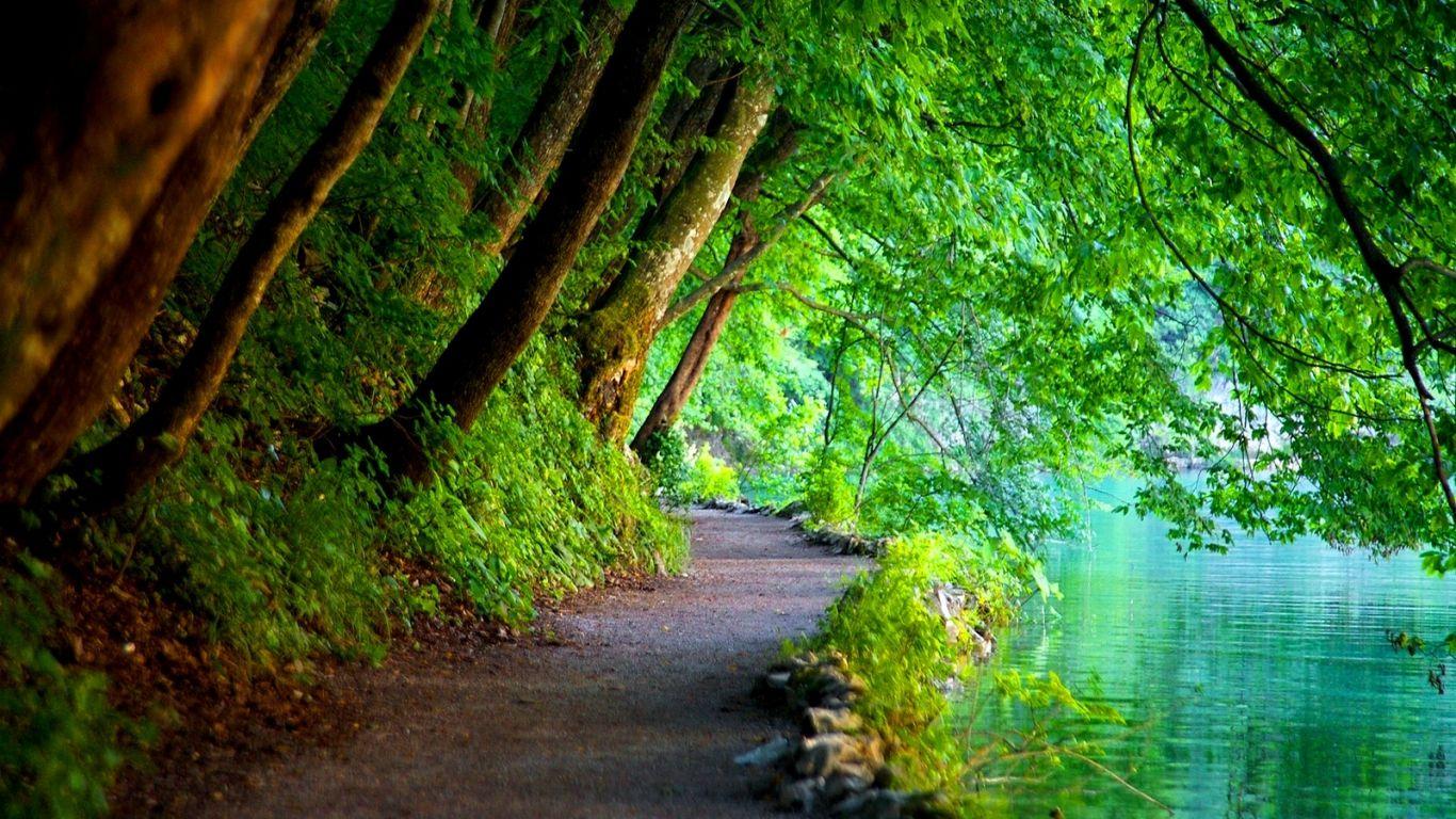 Khi cảm thấy căng thẳng hoặc mệt mỏi, hãy ngắm nhìn bức hình nền màu xanh lá cây tươi tắn này. Với thiên nhiên xanh tươi, bạn sẽ tìm thấy sự bình yên và sự thư giãn tinh thần mà mình đang tìm kiếm.