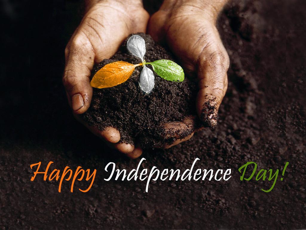 India Independence Day Wallpaper HD Picture August 2015