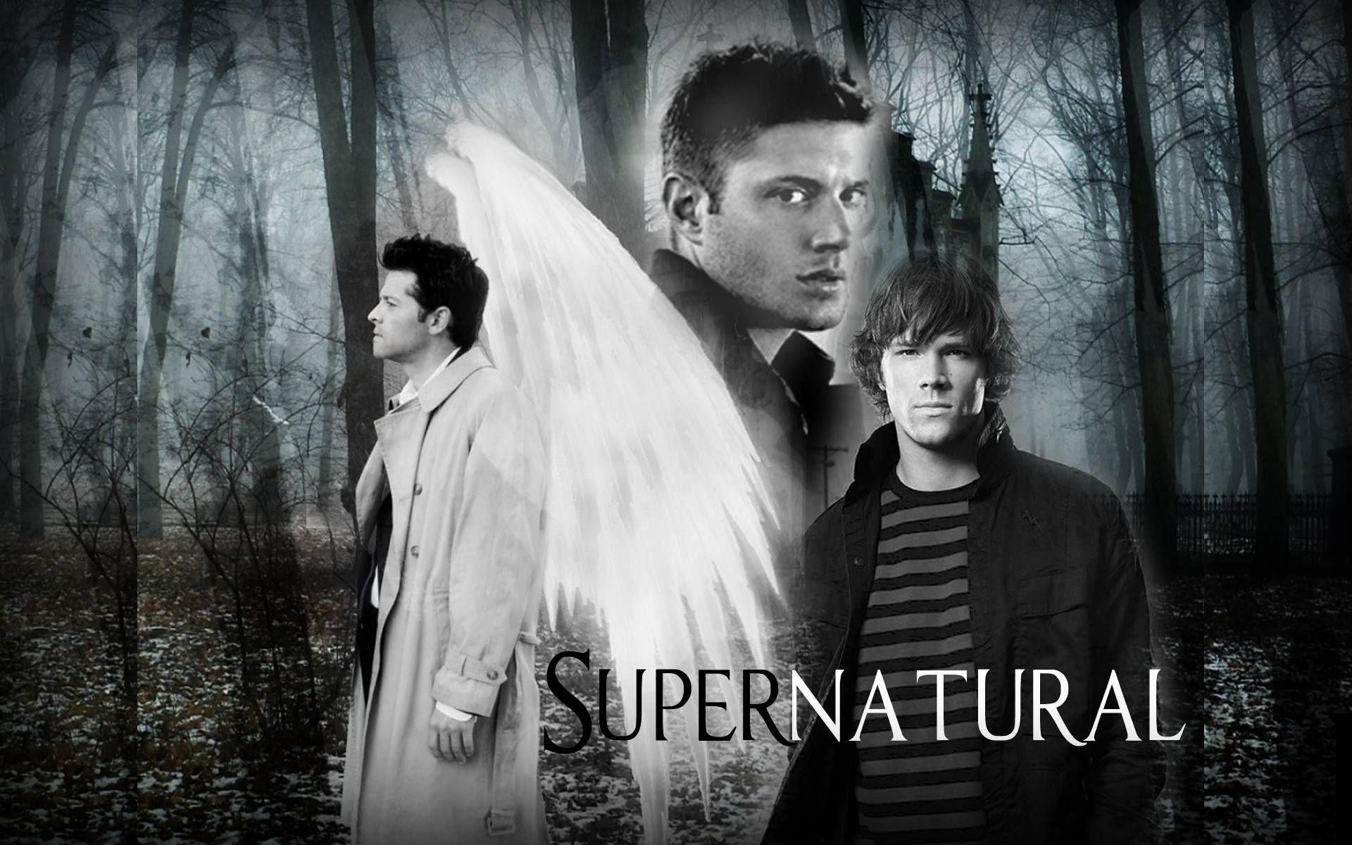 Supernatural. Supernatural Wallpaper 1 Skillet