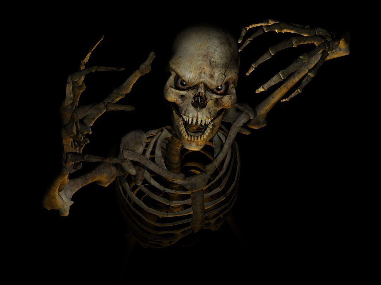 Skeleton Wallpaper HD Background Image Pics Photo Free
