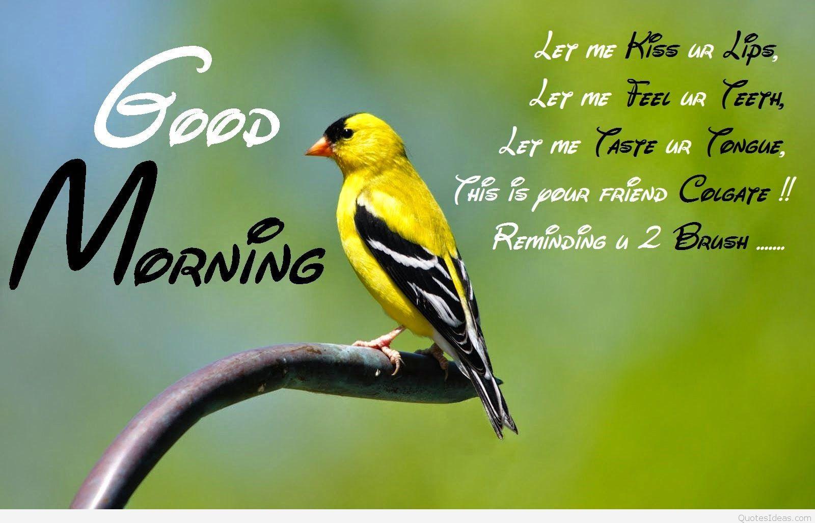 Widescreen Good Morning Quotes HD Image On Latest Of Smartphone