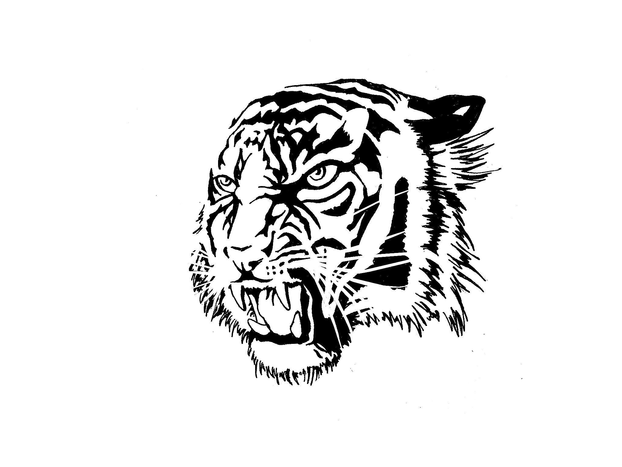Tiger Tattoo Image Wallpaper