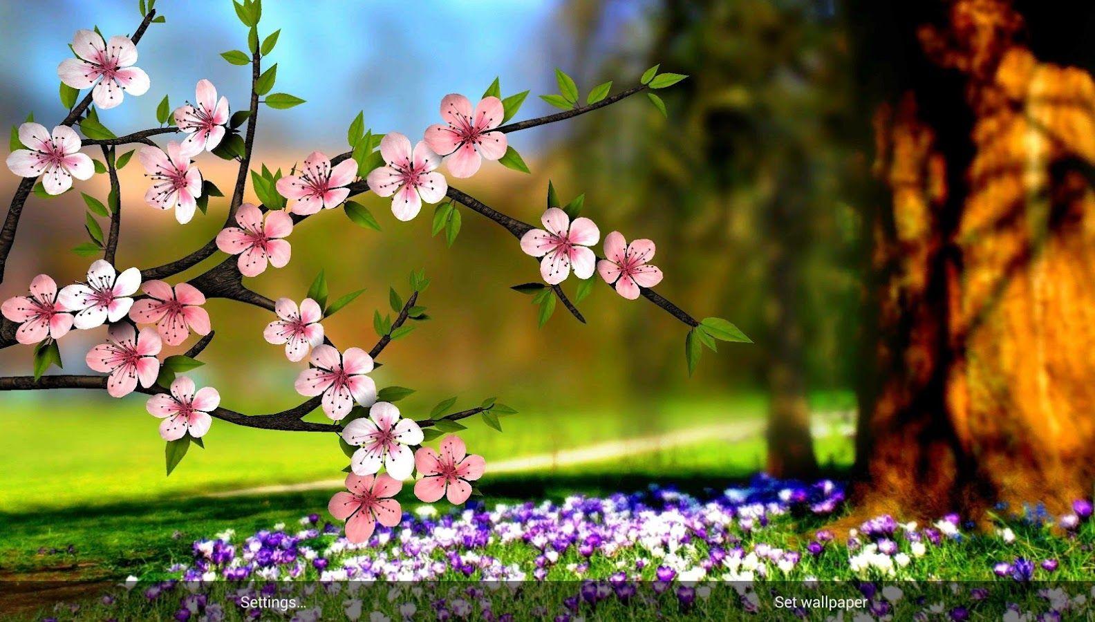 Flowers Picture S HD