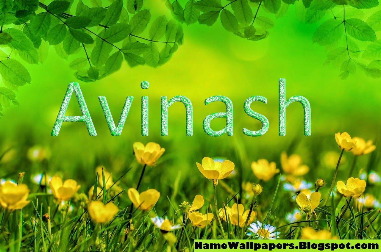 Avinash Name Wallpaper Avinash Name Wallpaper Urdu Name Meaning