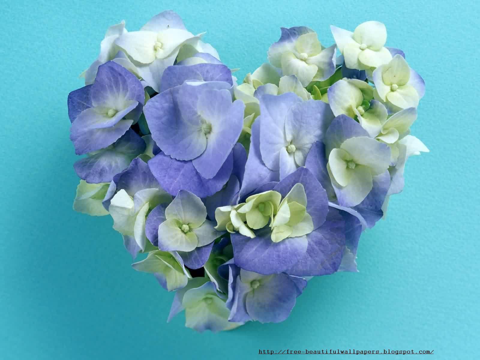 Free Beautiful wallpaper Download: Lover hearts wallpaper