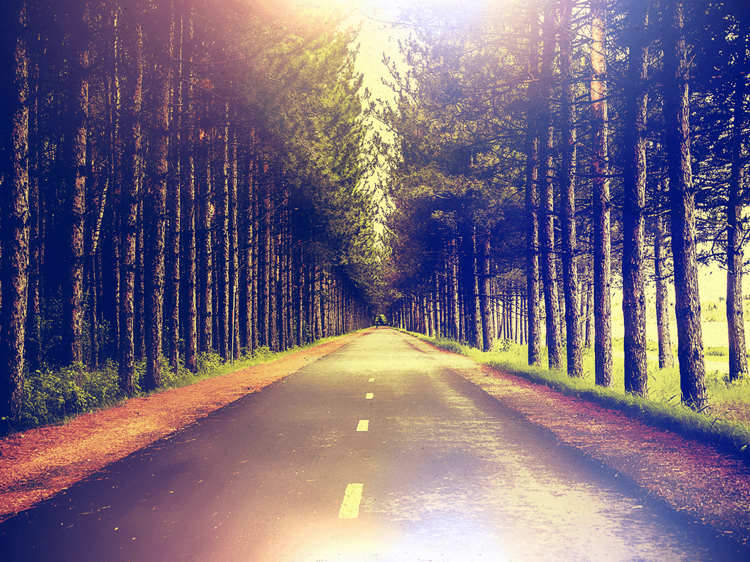 I Have Decided Christian Wallpaper