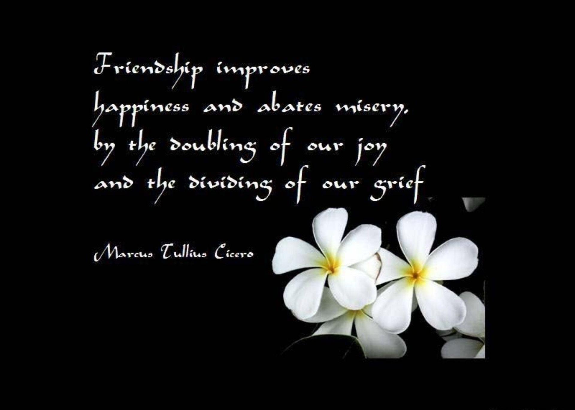 Quotes About Friendship Wallpaper Brilliant Best Friends Forever