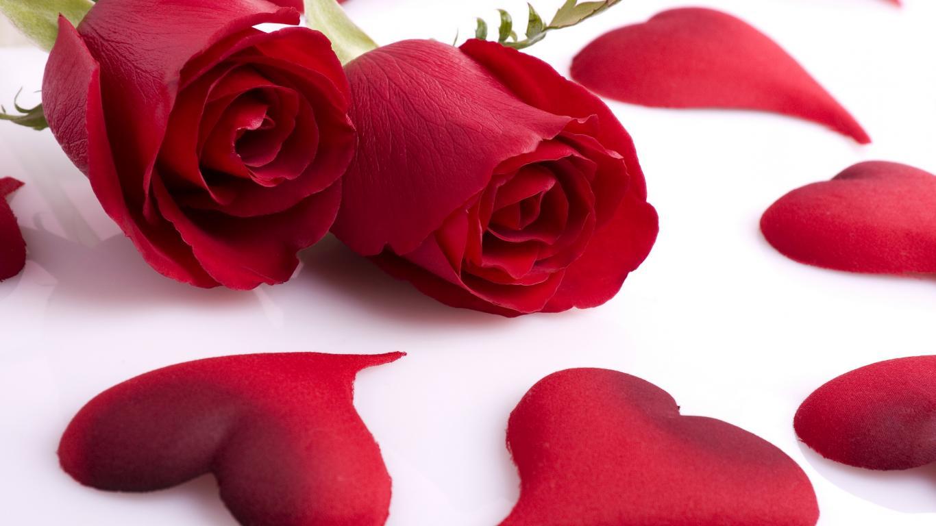 Romantic Red Rose Love HD Wallpaper Red Romantic