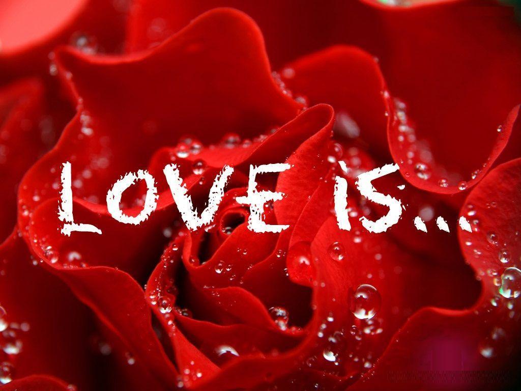 Love is. Red rose ✳✴⭐. LOVE AND KISSES. Fb cover