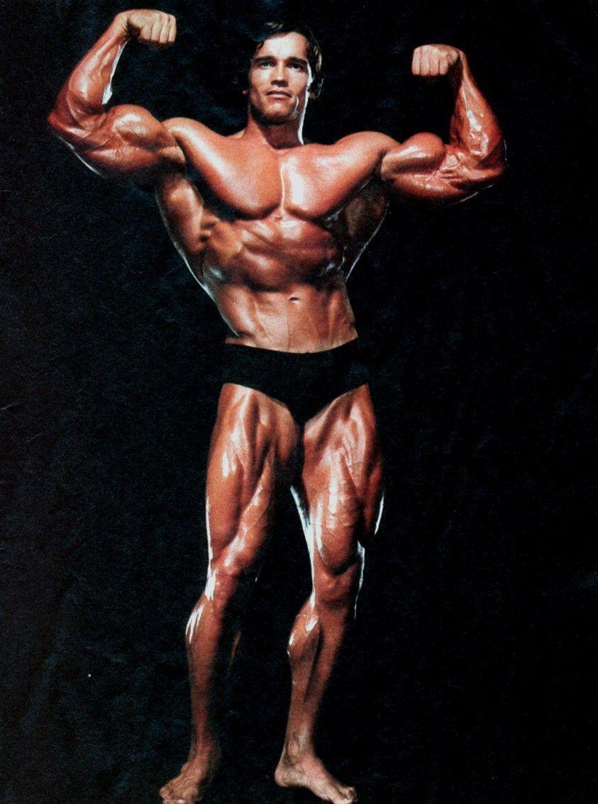 Download Arnold Schwarzenegger Body Builder Wallpaper HD FREE
