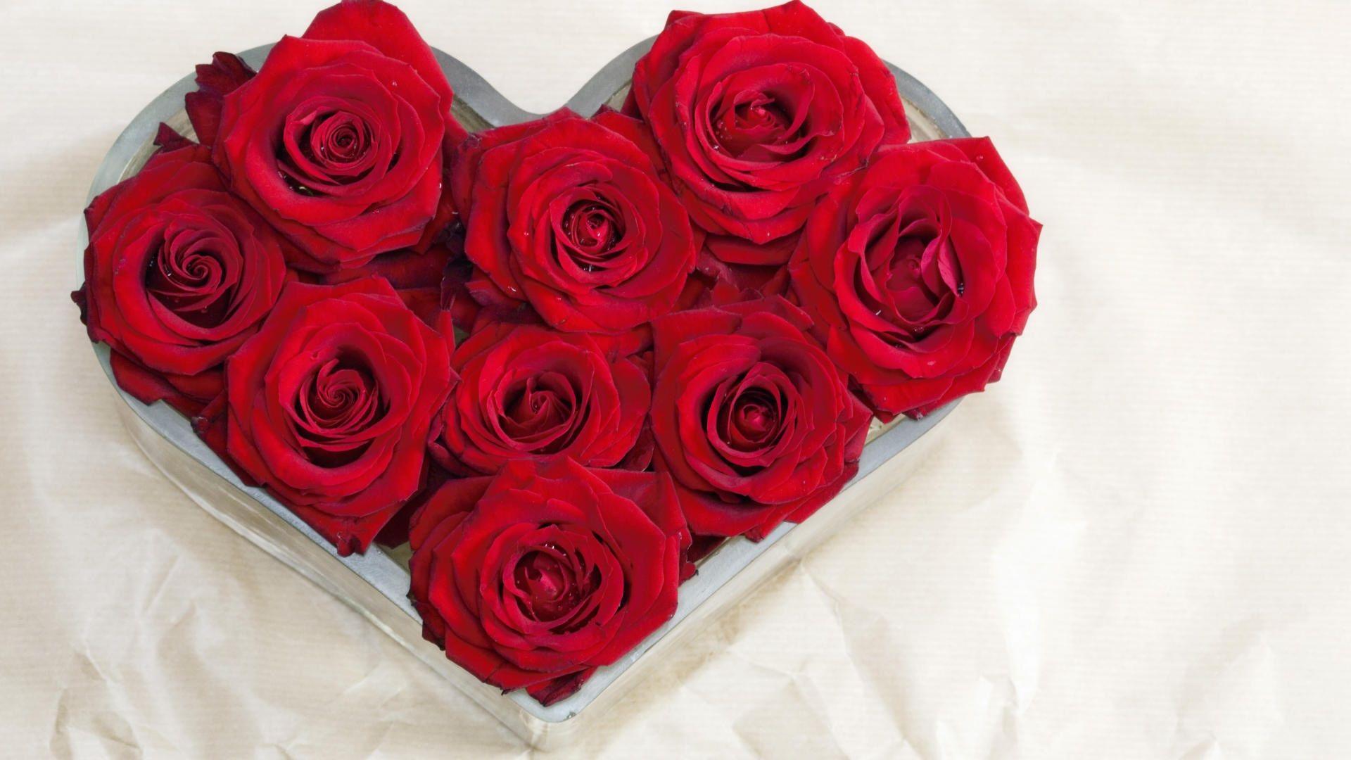 Love Red roses in the form of a declaration of love HD