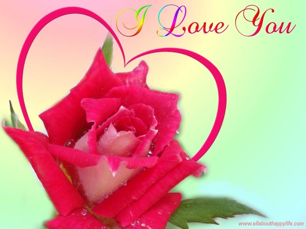 I Love You Rose Wallpapers - Wallpaper Cave