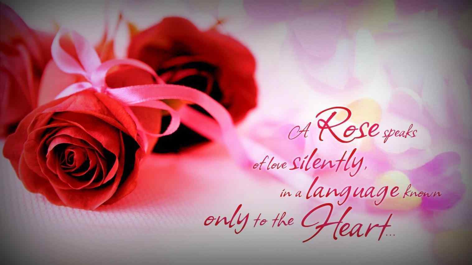 image Quotes About Red Roses Of Roses With Quotes Tags Rose