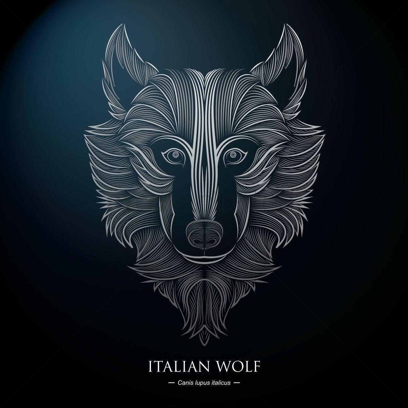 Italian wolf background Vector Image