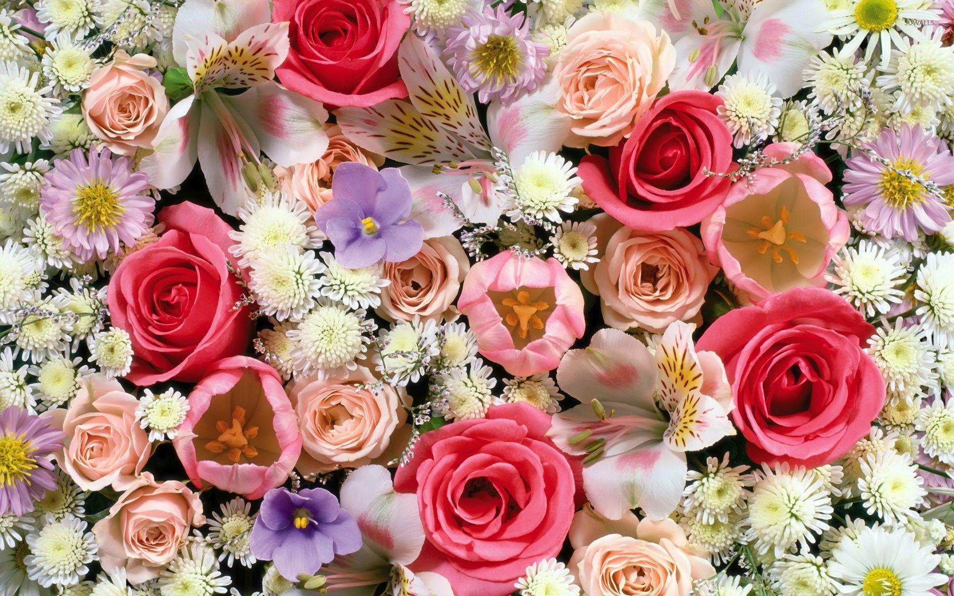 Colorful roses in the bouquet wallpaper wallpaper