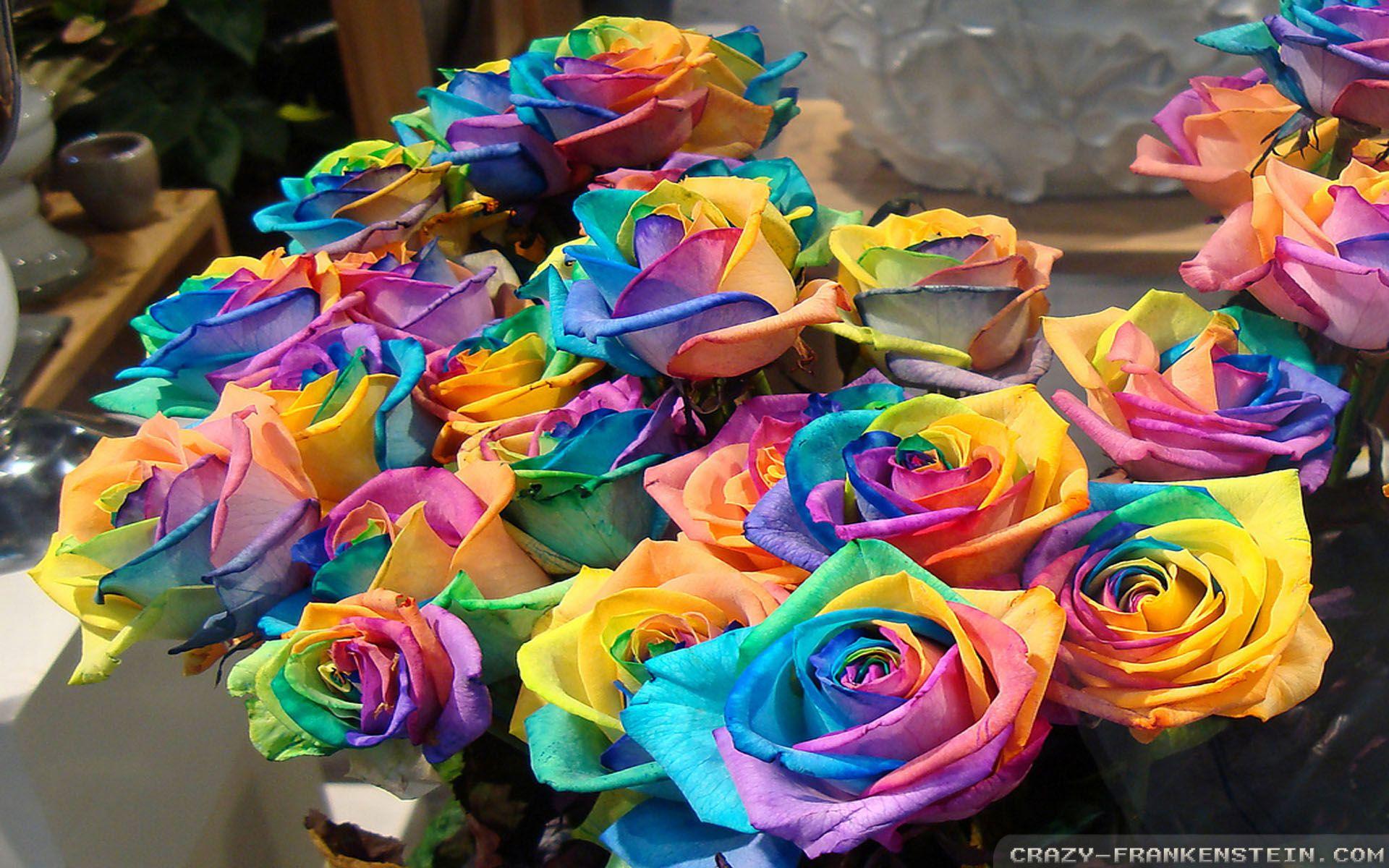 Flowers rainbow wallpaper