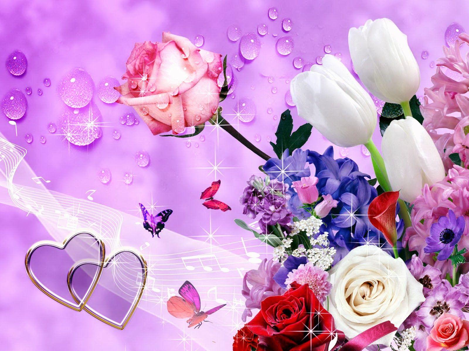 Beautiful Colorful Roses Flowers HD Wallpaper