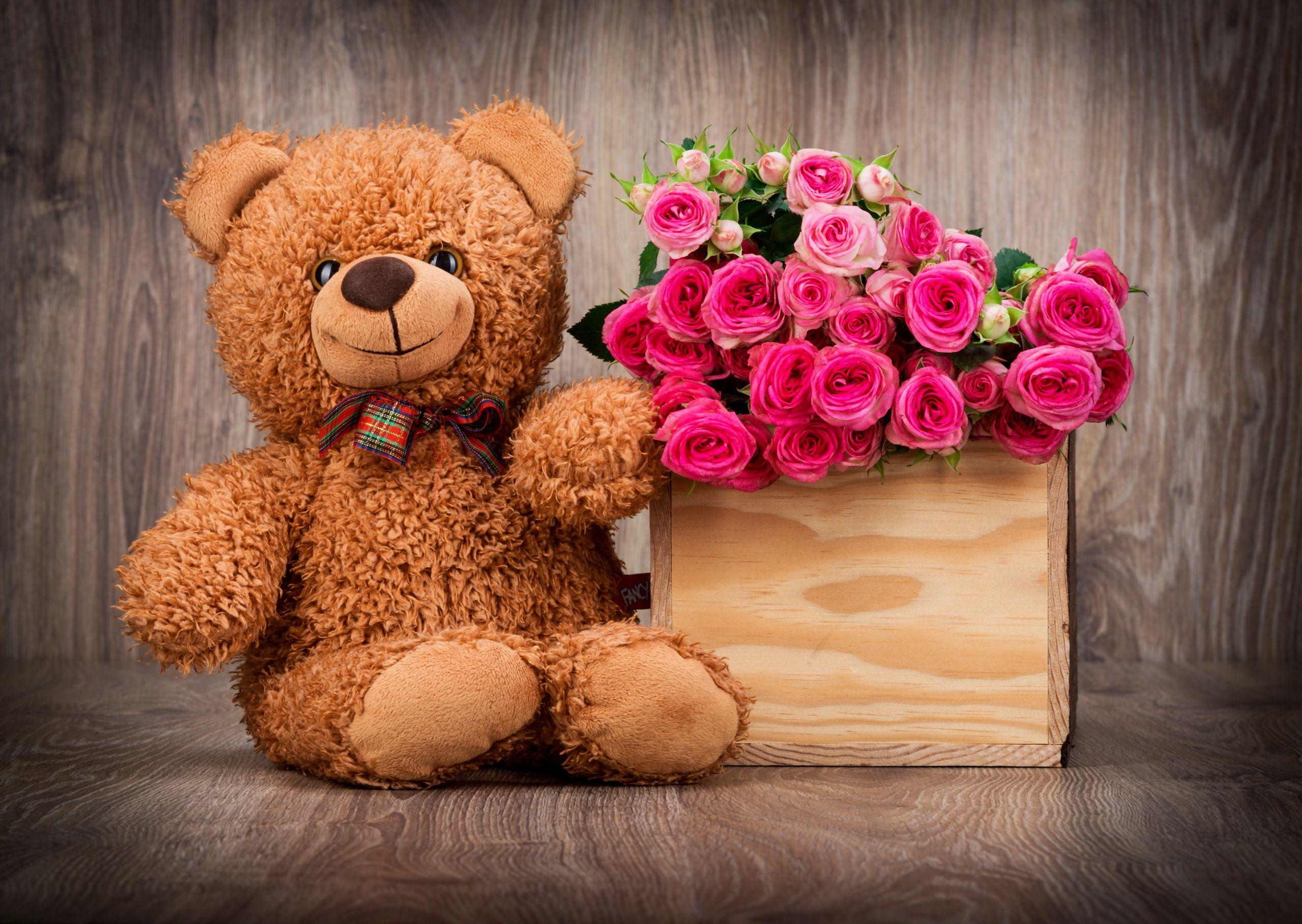 Cute Teddy Bear Wallpaper with Pink Roses in Box. HD Wallpaper