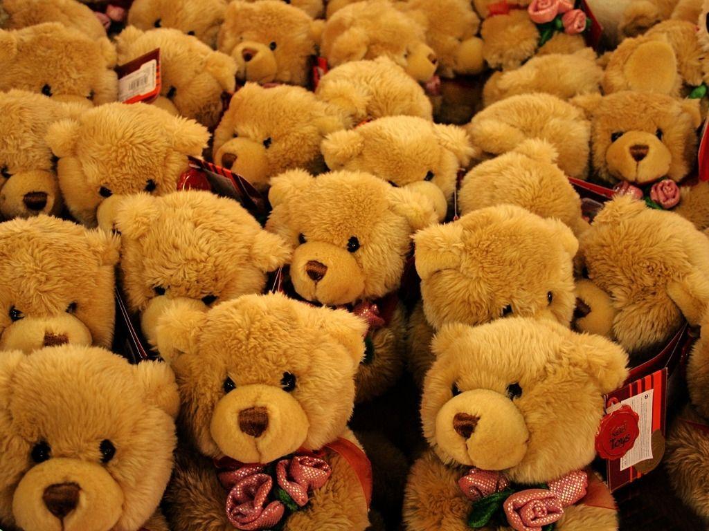 Lovely Small Teddy Bears HD Wallpaper Free Download